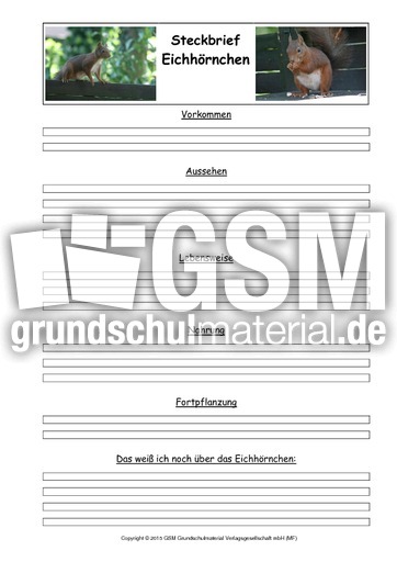 Eichhörnchen-Steckbriefvorlage-2.pdf